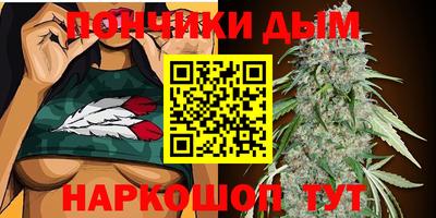 амф Новодвинск