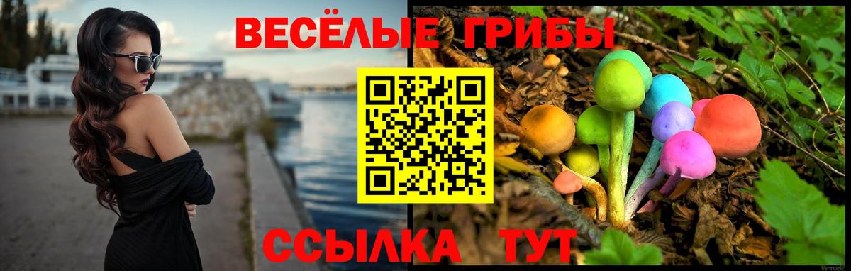 Галлюциногенные грибы мицелий Реутов